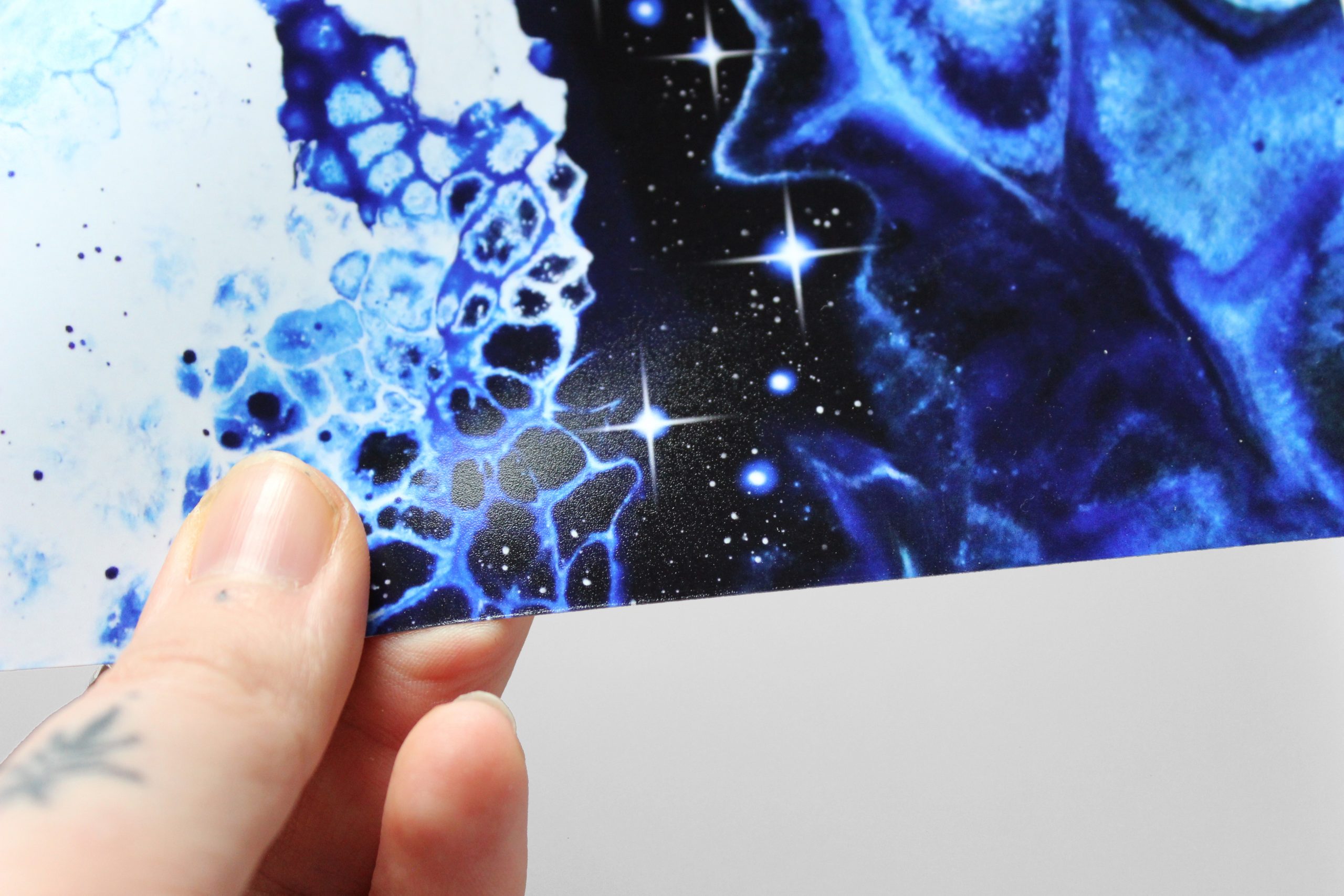 Blue Dreams – Image 4